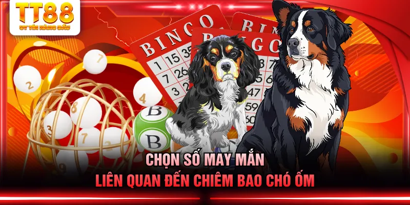 Chọn số may mắn liên quan đến chiêm bao chó ốm