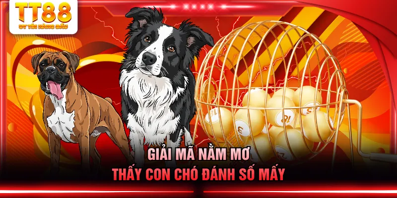 Giải mã nằm mơ thấy con chó đánh số mấy