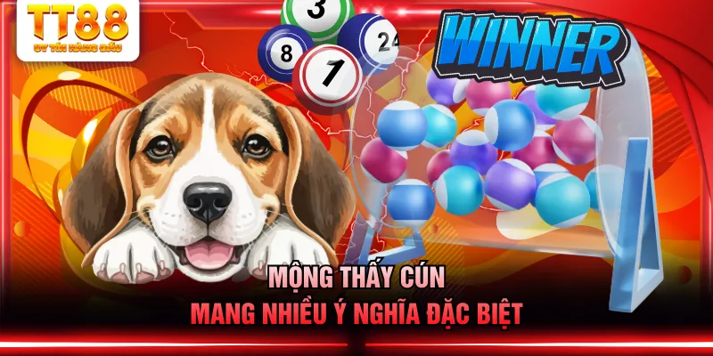 Mộng thấy cún mang nhiều ý nghĩa đặc biệt