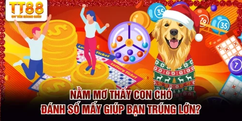 nằm mơ thấy con chó đánh số mấy